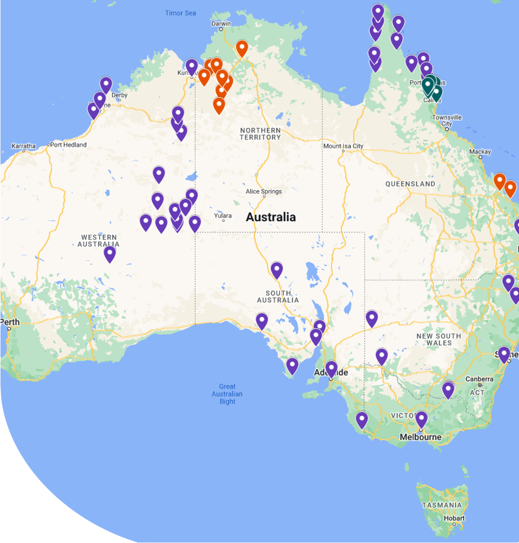 Clinical analytics and Indigenous health data context