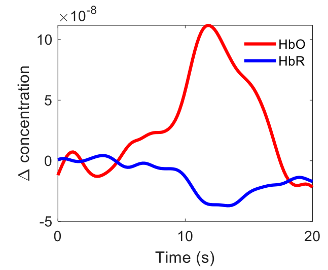 fNIRS time-series and model data output