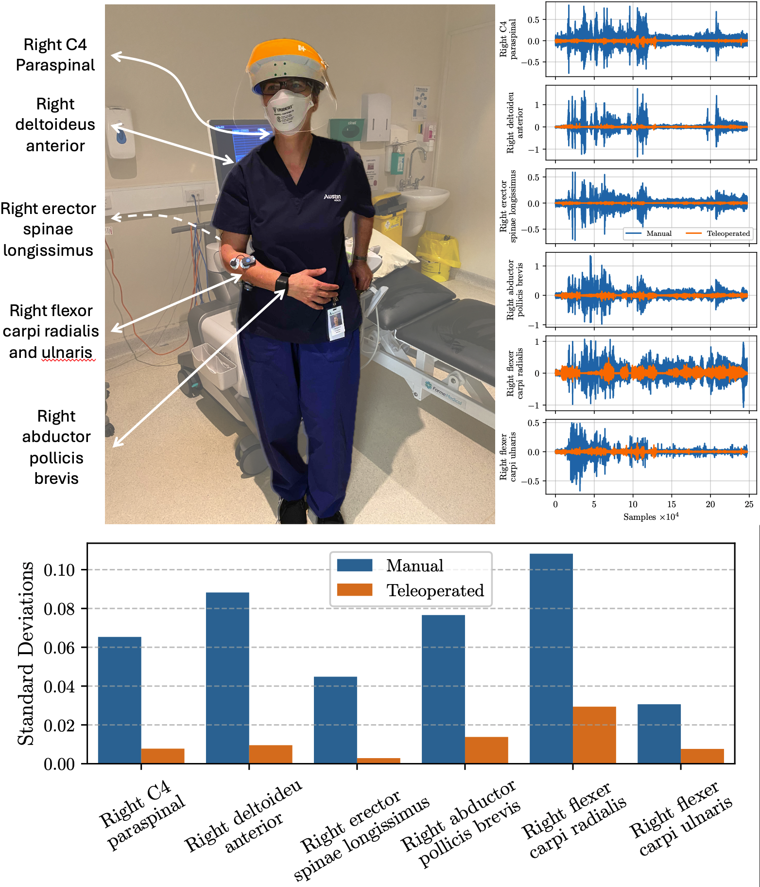 Ergonomics & Safety image