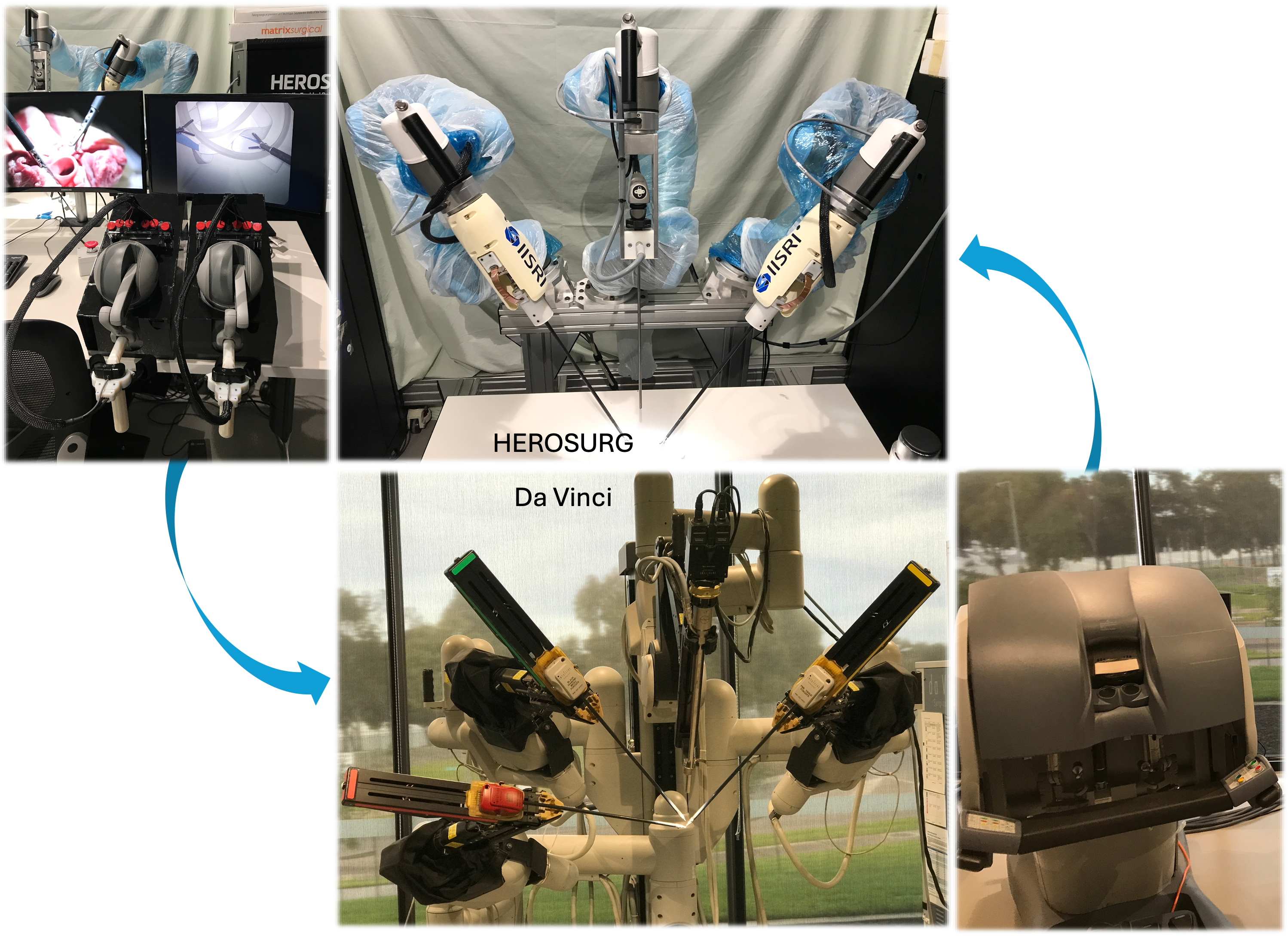 Sample frames from the multi-platform surgical dataset